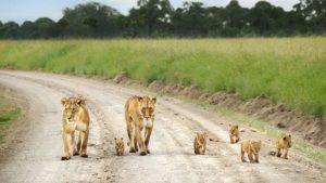 Bandingilo National Park