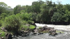 Nimule National Park