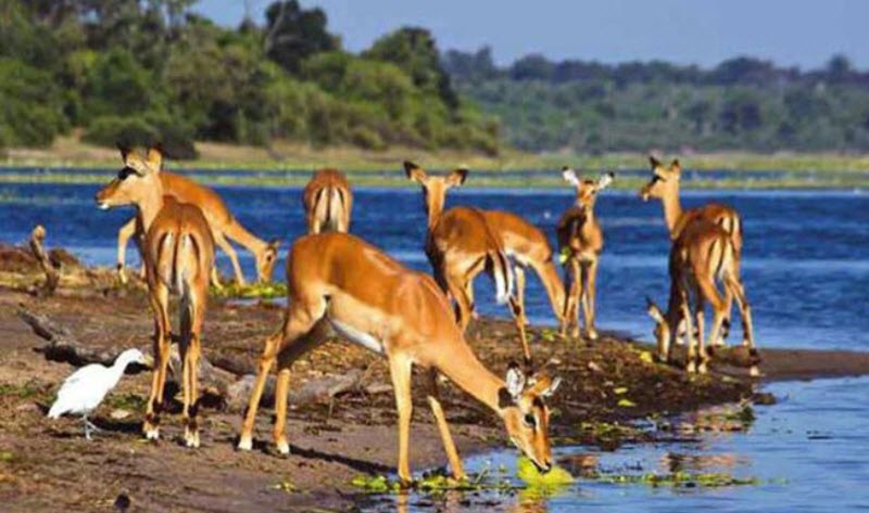 Shambe National Park